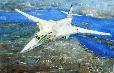 Картина маслом \"Белый лебедь. Ту-160\" Серия \"Самолеты\" 60x90 JR160605  купить в Москве