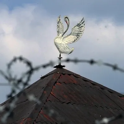 Белый лебедь» - место, которого боялись все воры в законе. Некоторые факты  о самой страшной тюрьме России | Жизнь в движении | Дзен