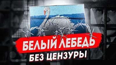 Белый лебедь, Соликамск - ФКУ ОИК-2 ОУХД ГУФСИН России по Пермскому краю) —  исправительная колония особого режима для пожизненно осуждённых 26.png -  Разговоры о разном - RabotaTam.Ru - Работа, образование за границей.  Иммиграция