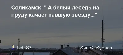 Сегодня мы гоняли в Соликамск в Белый Лебедь к нашему другу Максу Лобову  @lobow_maksim В 6 утра на автовокзале Перми меня ждал Тима… | Instagram