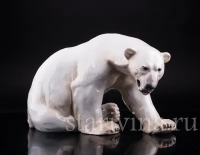 В центре Саранска дымился «Белый медведь» — Столица С