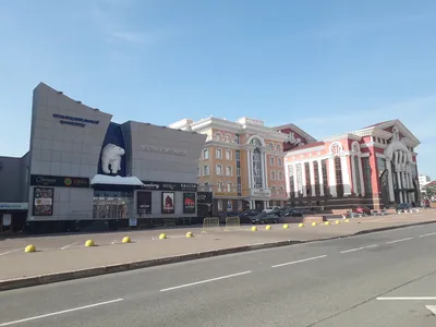 Картина Белый медведь- купить в Москве | Modular Pictures