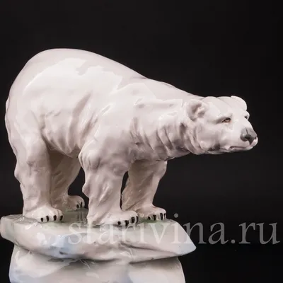 РК \"Белый Медведь\" 2024 | ВКонтакте