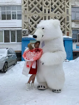 Плюшевая игрушка Белый медведь 7469 Hansa creation 18 см цвет белый по цене  2120 ₽/шт. купить в Москве в интернет-магазине Леруа Мерлен