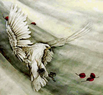 Могильник (птица) — Википедия