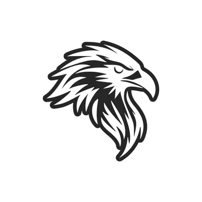 Силуэт птицы Черно-белый орел чертежа Иллюстрация штока - иллюстрации  насчитывающей орел, черный: 72903184