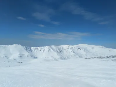 Первый снег: в украинские Карпаты пришла зима – Рубрика