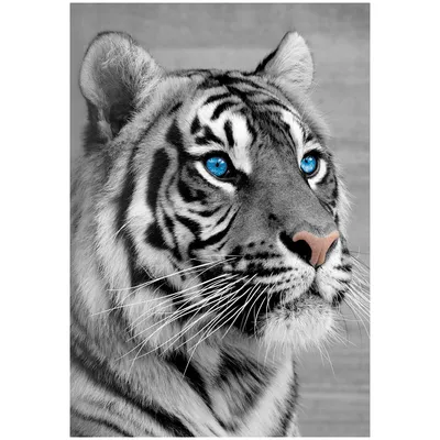 Фигурка Детское Время Animal Белый тигр - цена, фото, характеристики