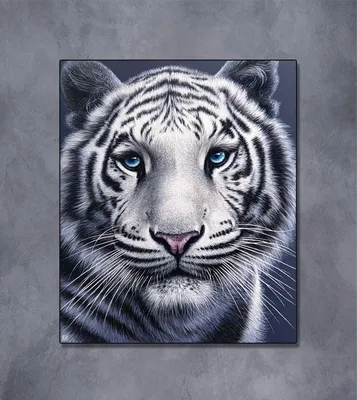 Белый тигр – Федерация кудо России