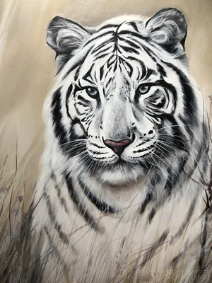 Картина Белый Тигр | Картины, Белый тигр, Животные