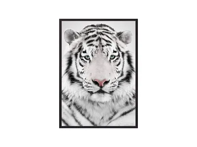 Фигурка животного Детское Время Белый тигр купить по цене 528 ₽ в  интернет-магазине Детский мир