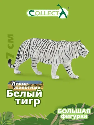 С анимацией Белый тигр 3D модель - Скачать Животные на 3DModels.org