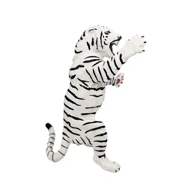 Животные белые тигры - 70 фото