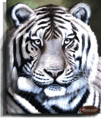 Картина Белый Тигр | Картины, Белый тигр, Животные