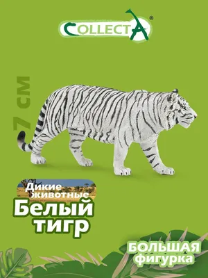 Белый тигр 🐯 белый тигр, реалистично…» — создано в Шедевруме