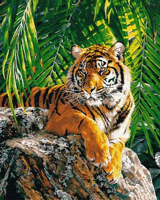 Бенгальский тигр (Panthera tigris bengalensi) — особый подвид тигра,  обитающий в Северной и Центральной Индии, … | Бенгальский тигр, Красивые  кошки, Дикие животные