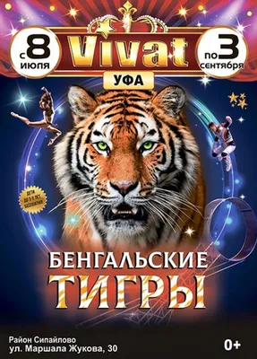 6592 Тигр бенгальский, 140 см большая игрушка - купить в Москве
