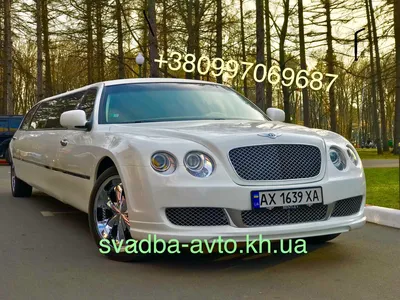 Машинка игровая Bentley Limousine M929J «АвтоЕксперт» Бентли Лимузин металл  черный свет звук 20*6*7 см (ID#1557049839), цена: 595 ₴, купить на Prom.ua