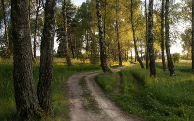 ООО Киржачский Фанерный Завод, г. Киржач