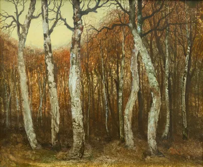Но время, грезя предстоящим - березовый лес осенью #shorts | Природа, Лес,  Осень