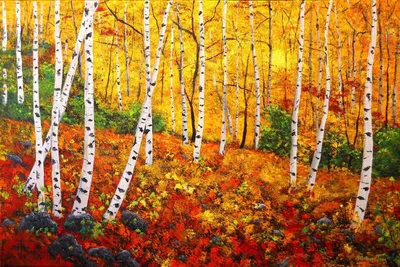 Березовый лес осенью (Большое количество фото) - treepics.ru