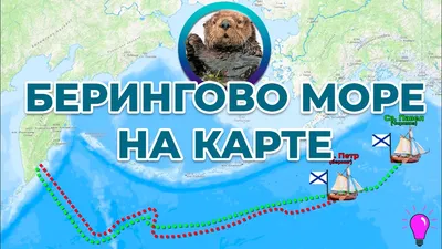 Ученые: Берингово море перестанет замерзать в ближайшем будущем: Новости  ➕1, 03.09.2020