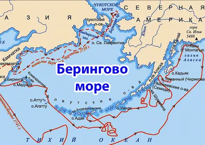 Портрет моря: Берингово – GoArctic.ru – Портал о развитии Арктики