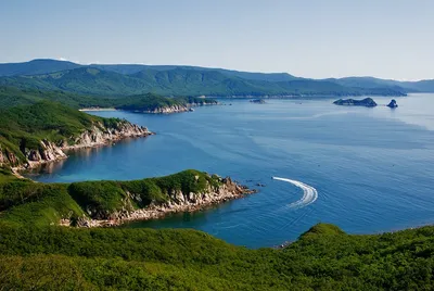 Площадь льдов в Беринговом море сократилась до минимума