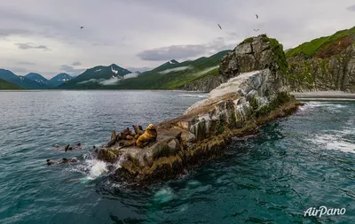 Восточное побережье Камчатского полуострова. Берингово море