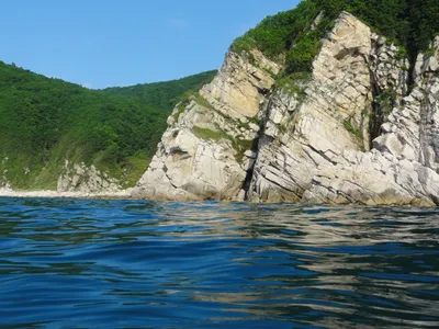 Берингово море вышло из берегов - затоплен аэропорт на Камчатке | РБК  Украина