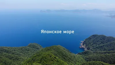 Берингово море фото фото