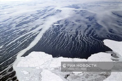 Гляжу на Берингово море. ФотоКaмчатка — Камчатка в фотографиях.