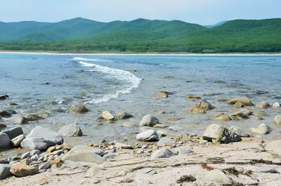 Японское море – источник здоровья и удовольствия