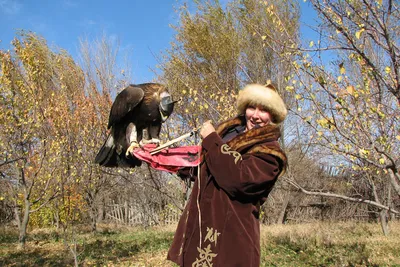 Беркут на нерке. Фотограф Николай Зиновьев