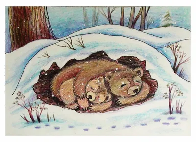 Как нарисовать медведя в берлоге | Рисунки, Уроки рисования, Художественные  проекты