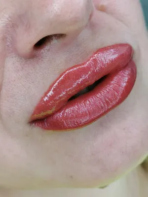 Face Company FACE Пигменты для губ перманентного тату