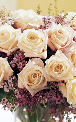 Кремовые розы, артикул: 333075757, с доставкой в город Сургут