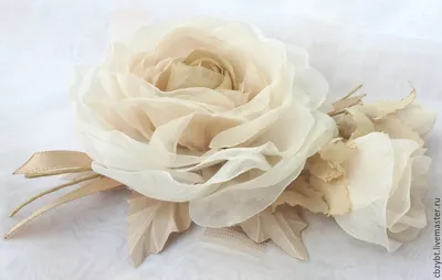 Заказать бежевые розы FL-679 купить - хорошая цена на бежевые розы с  доставкой - FLORAN.com.ua