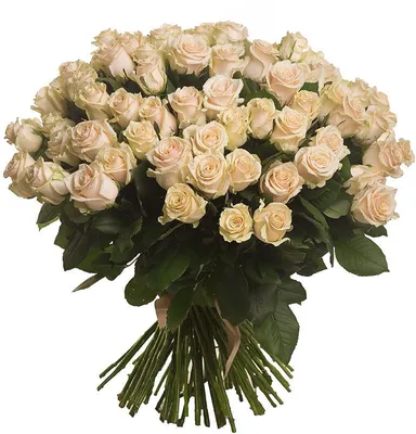 Кремовые розы \"Tp revival\" 50см — купить с доставкой, цены, отзывы, фото |  Tdanilova