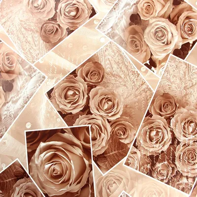 Букет из 101 кремовой розы «Восхищение» купить в Москве в Букет-Элит