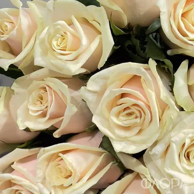 Кремовые розы с одной золотой за 4 090 руб. | Бесплатная доставка цветов по  Москве