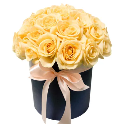 Фотообои Бежевые розы шикарные купить в Москве, Арт. 10-255 в  интернет-магазине, цены в Мастерфресок