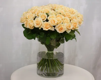 бежевые розы стоковое фото. изображение насчитывающей деталь - 4196378