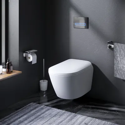 GEBERIT AquaClean Mera Comfort 146.214.21.1 Унитаз-биде подвесной |  безободковый, с электронным оснащением, купить в интернет-магазине  сантехники Сантехмаг.Ру