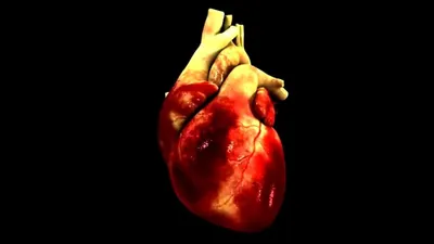 Биение сердца, 2000 — описание, интересные факты — Кинопоиск