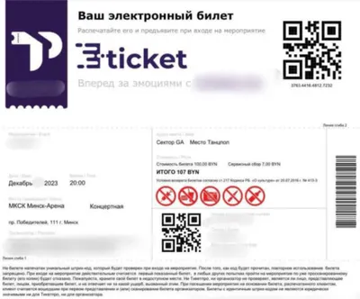 Билет на концерт группы Аракс ~ образец билета TS0077 ~ Билеты online ~  типография РИОН