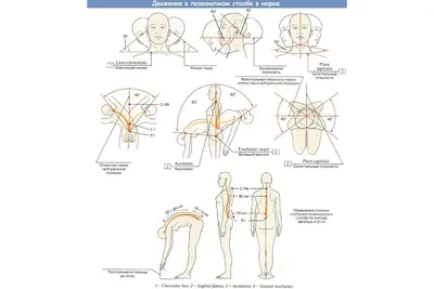 Тату биомеханика на предплечье. Tattoo biomechanics on the forearm | Тату,  Кожа