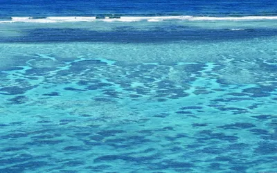 Красивый Пляж И Тропические Бирюзовое Море. Фоне Моря Фотография, картинки,  изображения и сток-фотография без роялти. Image 58512358