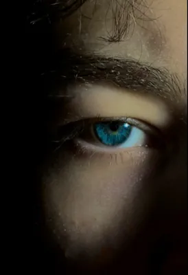 blue eyes | Глаза, Голубые глаза, Эстетика