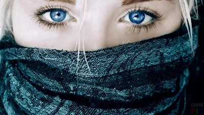 Яркие Голубые Глаза Закрыть Вверх — стоковые фотографии и другие картинки  2015 - 2015, Блестящий, Близко к - iStock